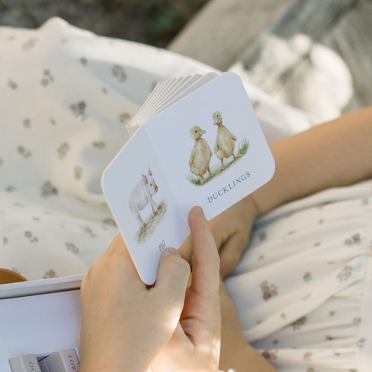 Kit de Mini Livros para Bebê Primeiras Palavras Our Little Very Library - 10 Unidades - Supports Early Language Development
